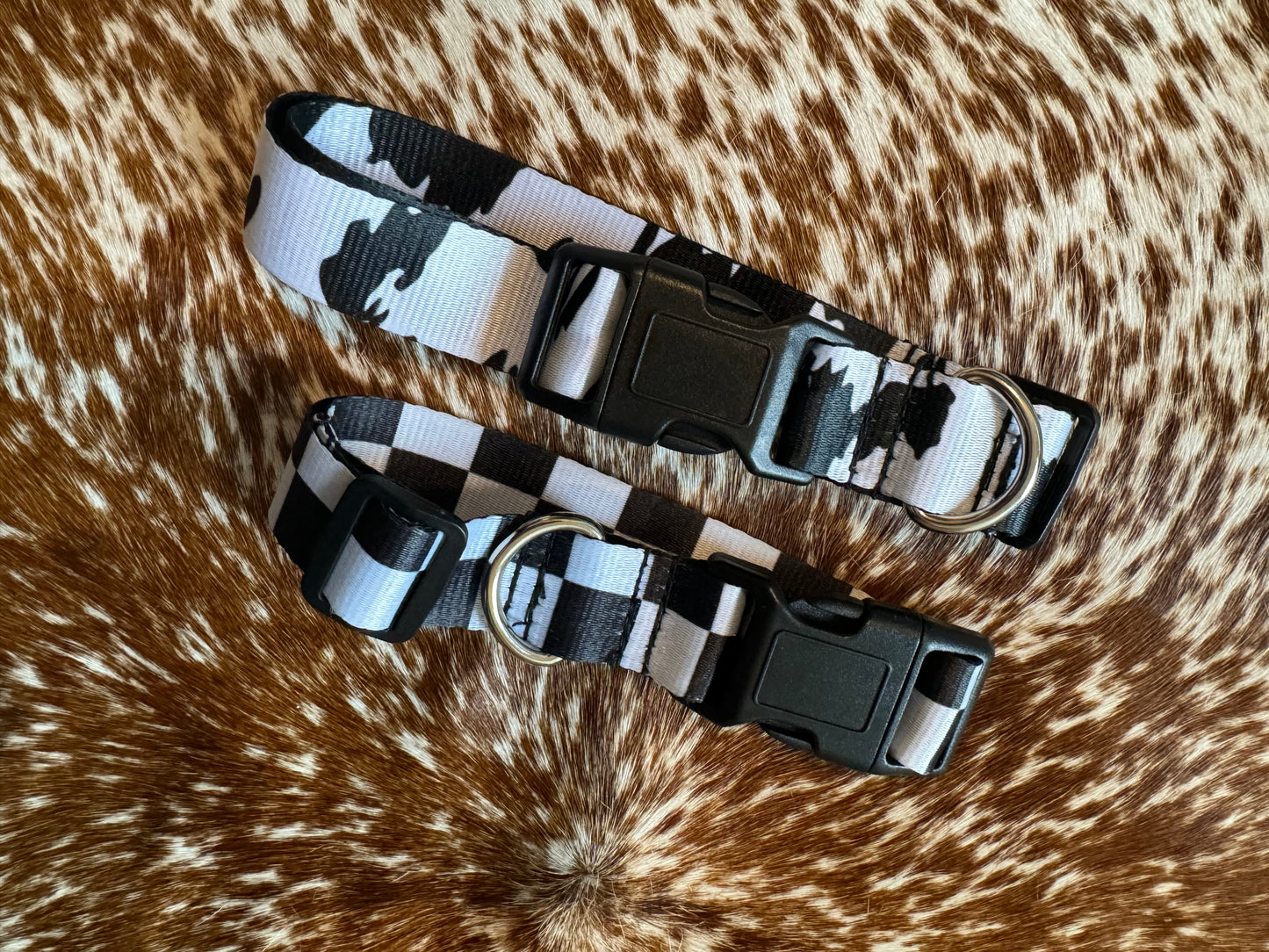 Cowprint Medium Dog Collar