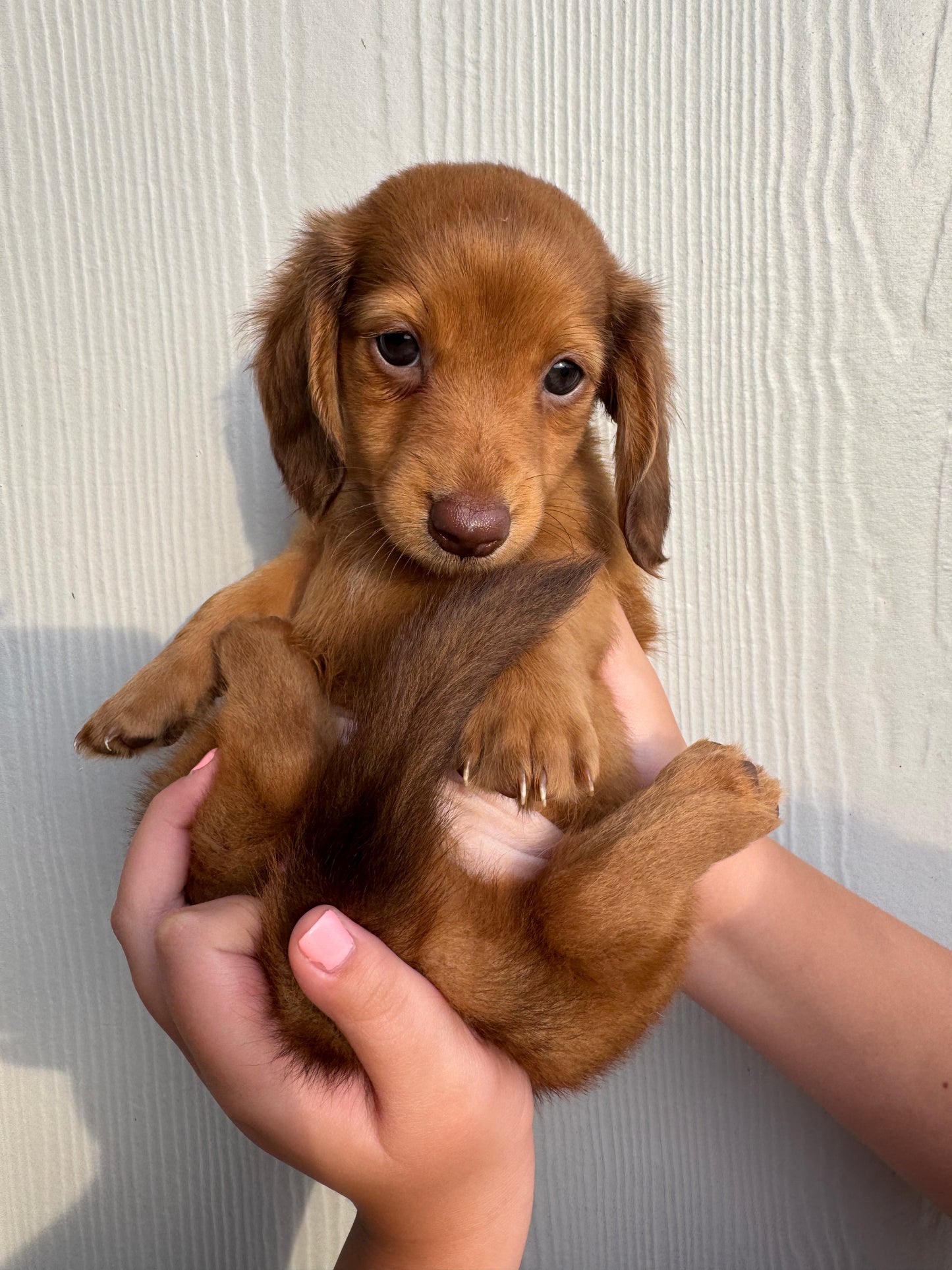 Cooper