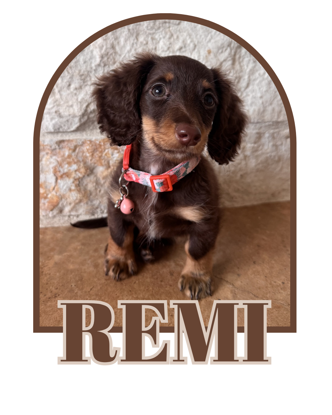 Remi (Dam)